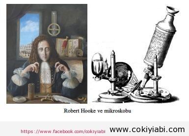 Robert Hooke kimdir (Bilim Adamları)