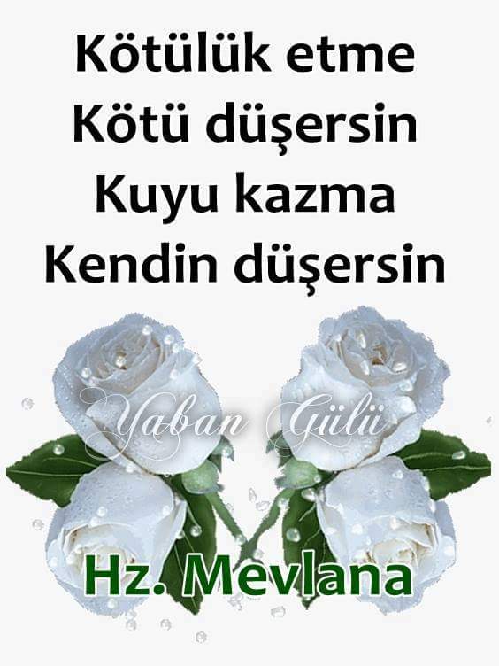 En Guzel Resimli Ask Sozleri Indir Ask Mesajlari Resimli Indir Ask Sozleri Paylas Meaningful Love Quotes Strong Love Quotes Cool Words