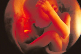 Hamilelikte 6 Aylık Bebeğin Görüntüleri