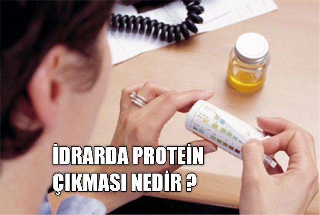 İdrarda Protein Çıkması Nedemek ?