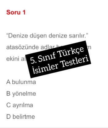 5. Sınıf Türkçe İsimler Testleri