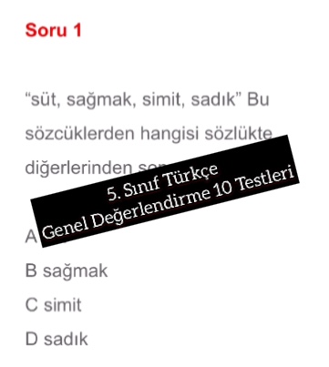5. Sınıf Türkçe Genel Değerlendirme 10 Testleri
