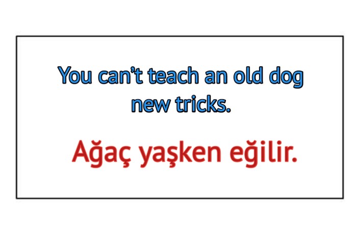 Ingilizce türkçe çevirili atasözleri 