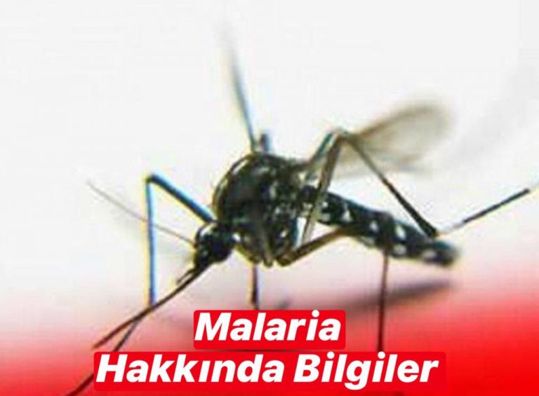 Malaria Hakkında Bilgiler