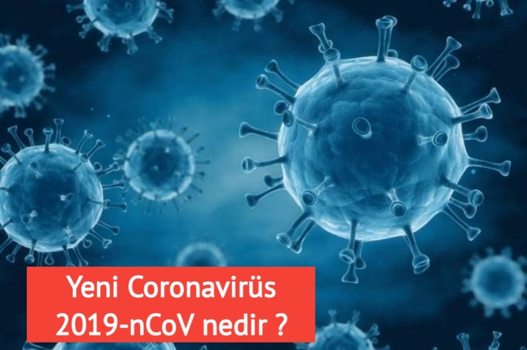 yeni Coronavirüs 2019-nCoV nedir nasıl bulaşır 