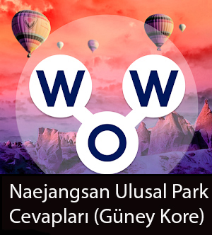 WOW Oyunu – Naejangsan Ulusal Park Cevapları (Güney Kore)