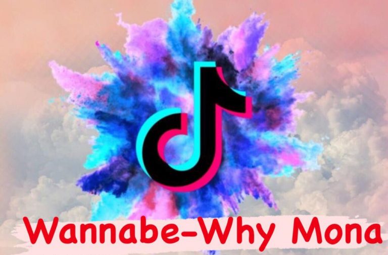 Wannabe-Why Mona TikTok Şarkı Sözleri