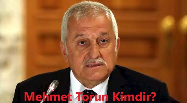 Mehmet Torun Kimdir?
