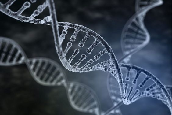 DNA Testi Özellikleri Nelerdir?