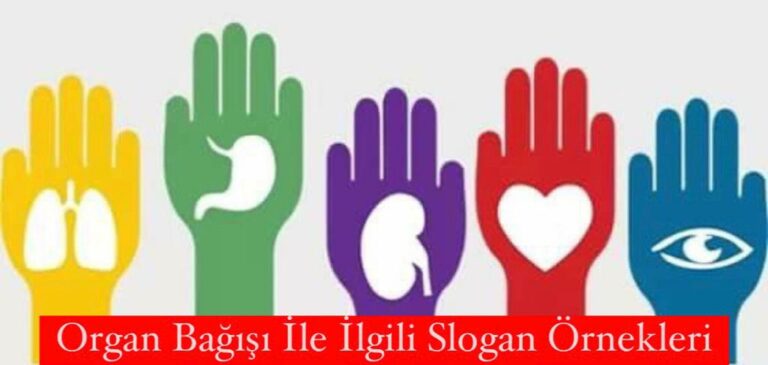 Organ Bağışı İle İlgili Slogan Örnekleri