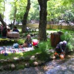 Adana’da Piknik Yapılacak En Güzel Yerler Nerelerdir?