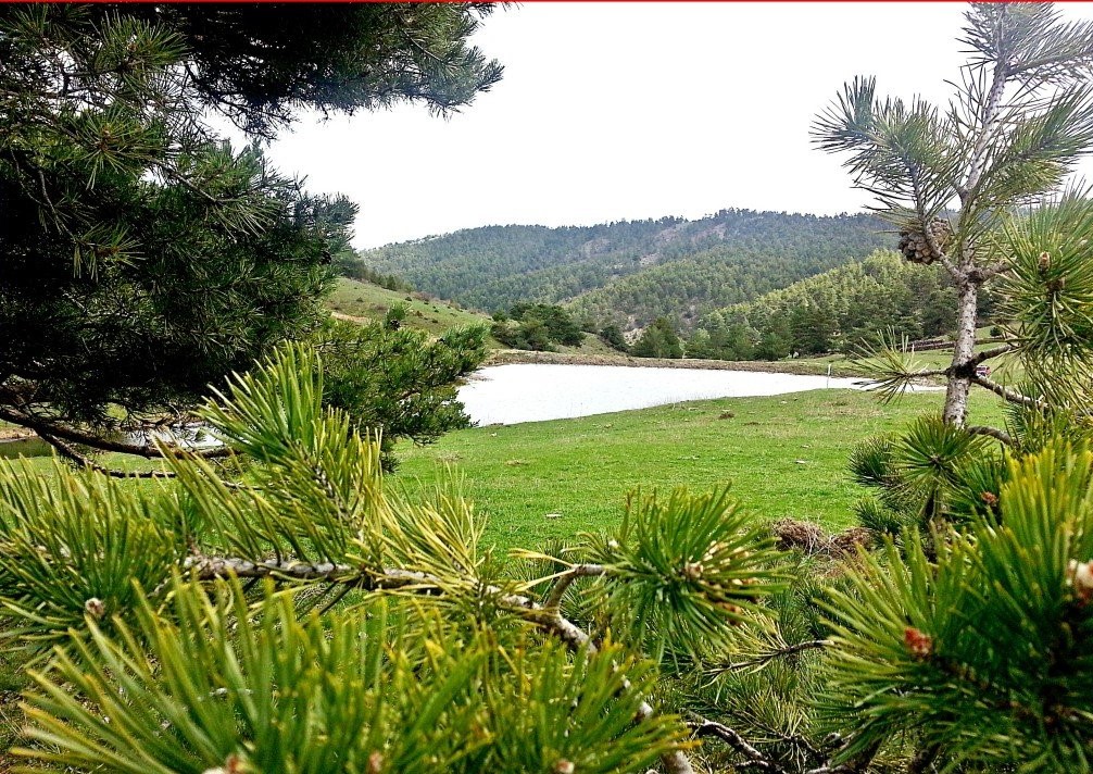 Sivas'ta Kamp Yapılacak En Güzel Yerler Nerelerdir?